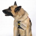 Imbragatura per cani Kong Smeus
