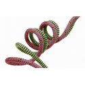 Corda da Treeclimbing MARLOW VESPER 11,8 mm