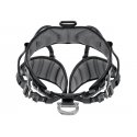 Imbracatura bassa PETZL AVAO SIT FAST