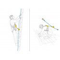 Dispositivo anticaduta PETZL ASAP